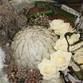 fwthumbhayle - flowers - floristry - sympathy - cornwall - gifts - send flowers today - floral delivery - -florist 2592x3888.jpg